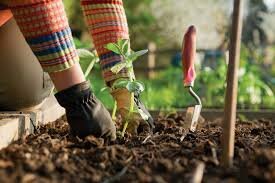 Gardening Services Bromley