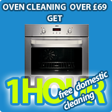 Oven clean over 69.00 +1 hr of domestic clean for free